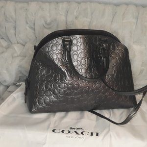 Coach Metallic SignatureSatchel
